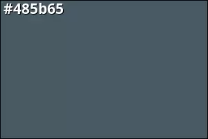#485b65