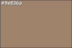 #9e836a