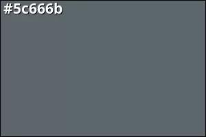#5c666b
