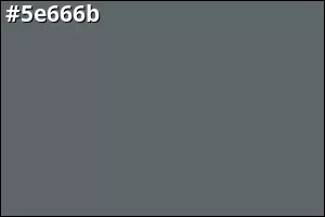 #5e666b