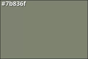 #7b836f