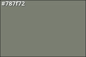 #787f72
