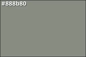 #888b80