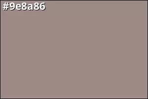 #9e8a86