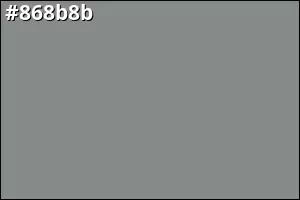 #868b8b