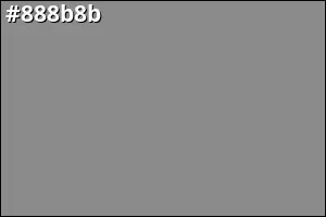 #888b8b