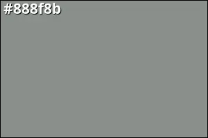 #888f8b