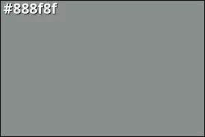 #888f8f
