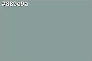 #889e9a