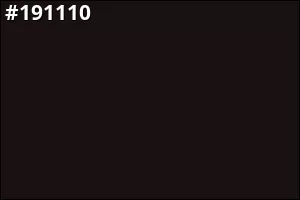 #191110