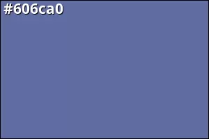 #606ca0