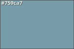 #759ca7