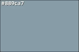 #889ca7