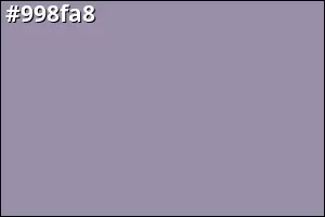 #998fa8