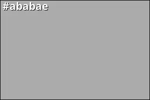 #ababae
