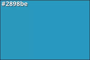#2898be