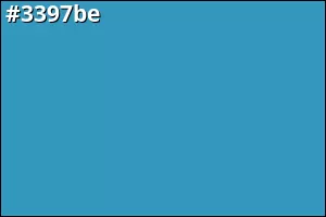 #3397be