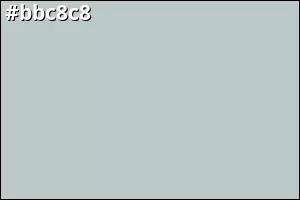 #bbc8c8