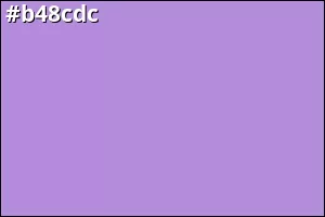 #b48cdc