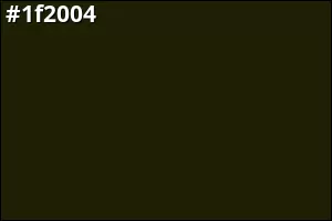 #1f2004