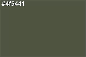 #4f5441