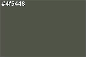 #4f5448