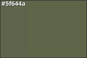 #5f644a