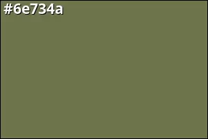 #6e734a