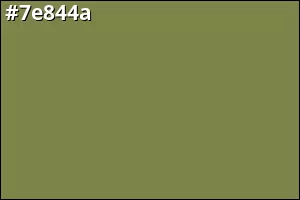 #7e844a