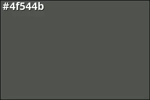 #4f544b
