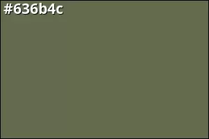 #636b4c
