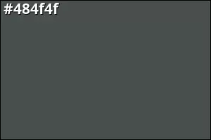 #484f4f