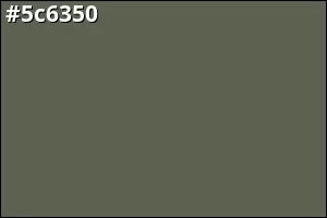 #5c6350