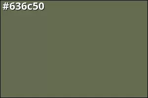 #636c50