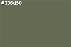#636d50