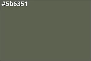 #5b6351