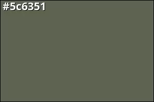 #5c6351