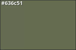 #636c51