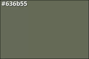 #636b55