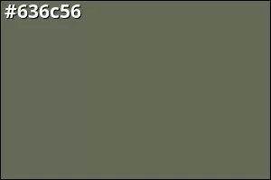 #636c56