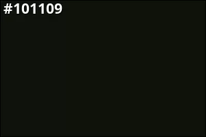 #101109