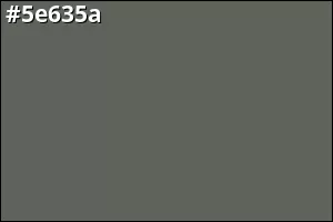 #5e635a