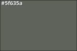 #5f635a