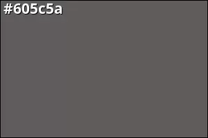 #605c5a