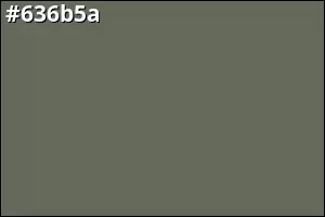 #636b5a