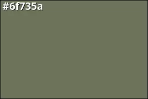 #6f735a