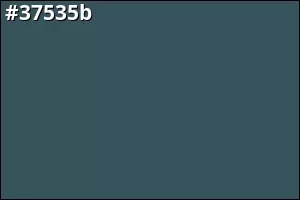 #37535b