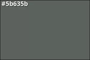 #5b635b