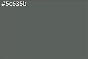 #5c635b
