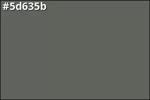 #5d635b